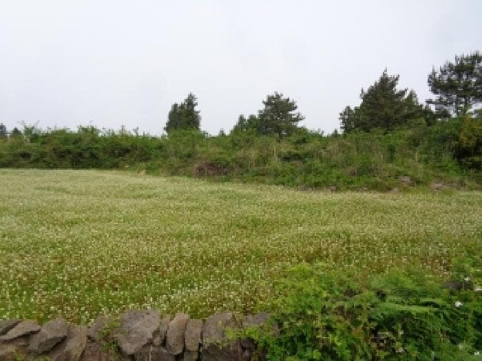 2025타경8096 사진