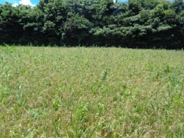 2025타경8316 부동산임의경매 대표 사진