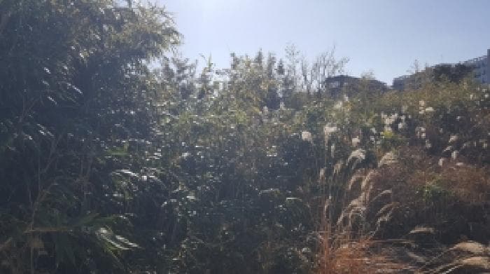 2025타경9147 부동산임의경매 대표 사진