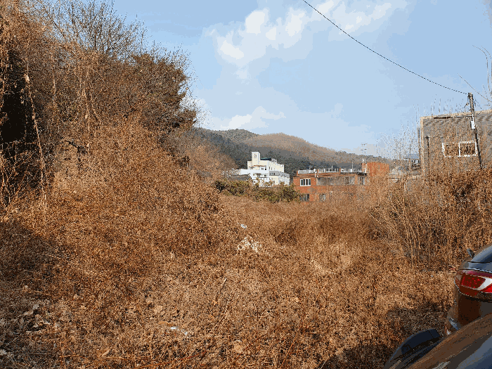 2025타경10026 사진