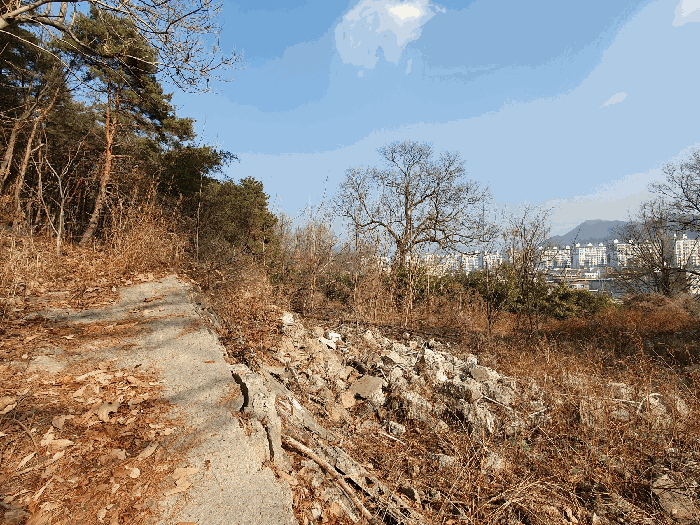 2025타경10026 사진