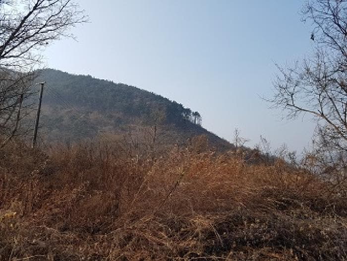 2025타경10053 부동산임의경매 대표 사진