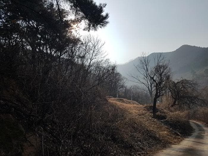 2025타경10053 사진