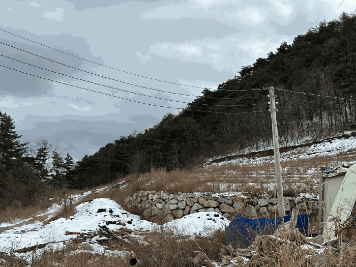2025타경10167 사진