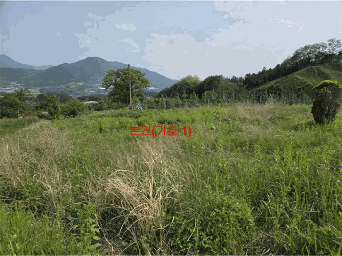 2025타경10208 사진
