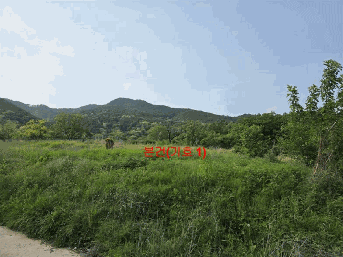 2025타경10208 사진