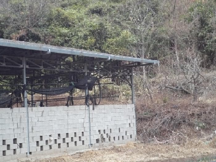 2025타경10242 부동산강제경매 대표 사진