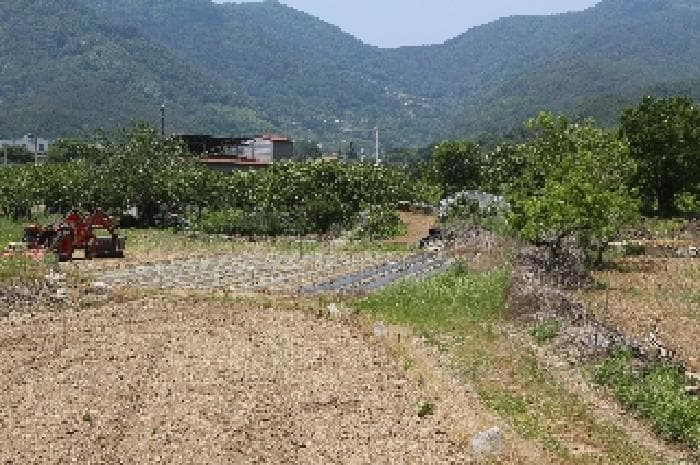 2025타경10338 부동산강제경매 대표 사진