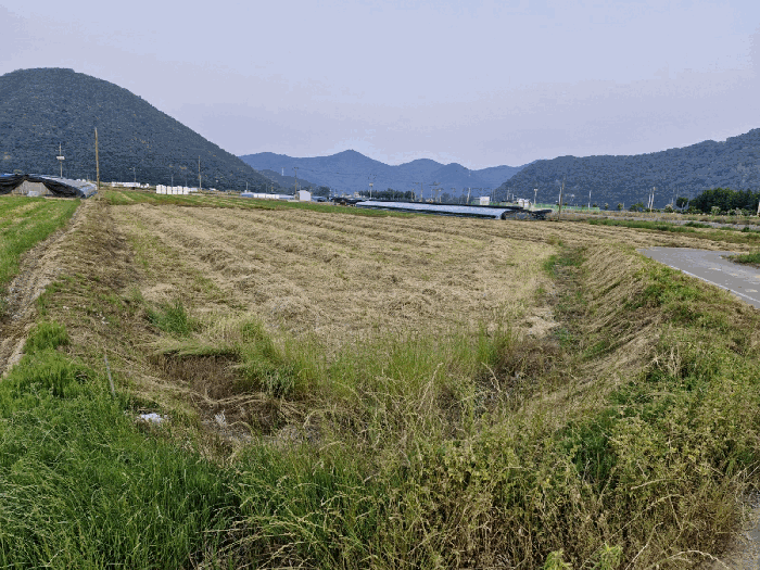 2025타경10338 사진