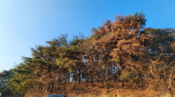 2025타경10401 부동산임의경매 대표 사진
