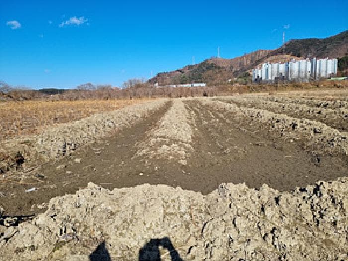 2025타경10481 사진