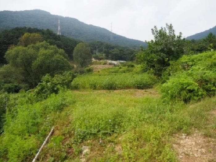 2025타경10513 부동산임의경매 대표 사진