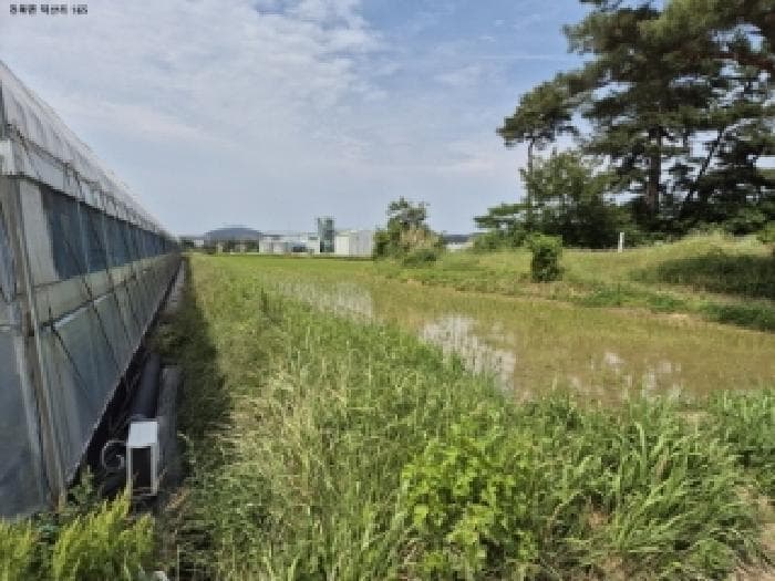 2025타경10536 주거용 대표 사진