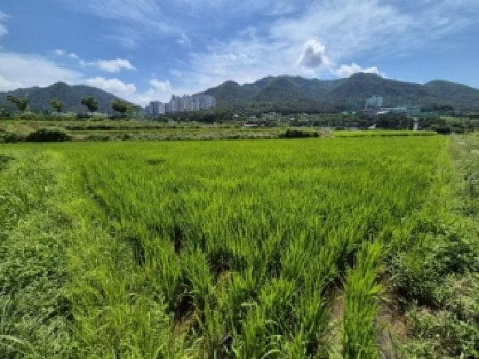 2025타경10612 부동산임의경매 대표 사진