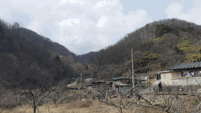 2025타경10833 사진