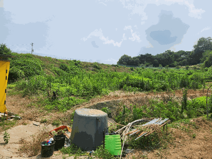 2025타경15803 사진