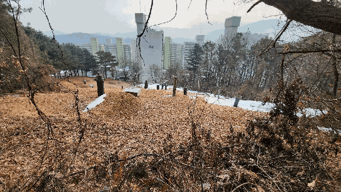2025타경20248 사진