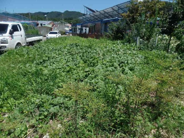 2025타경20357 사진