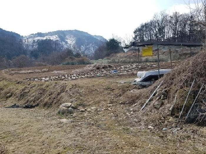 2025타경20519 부동산임의경매 대표 사진