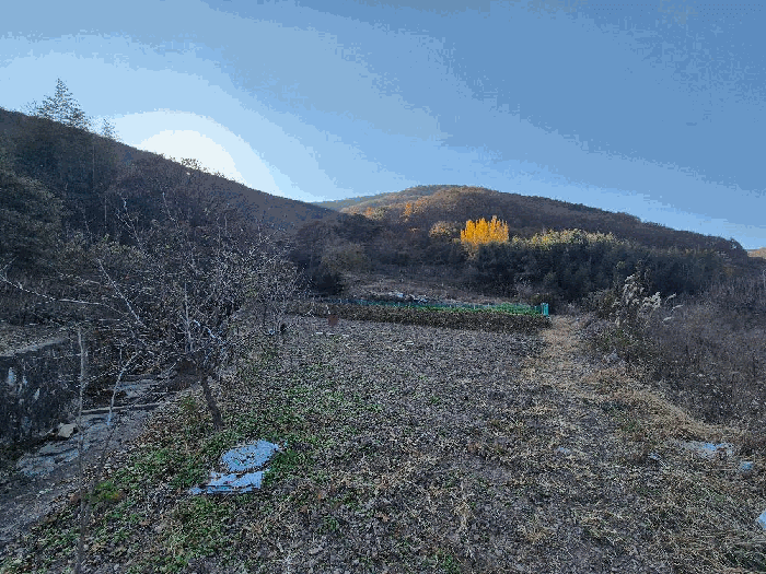 2025타경21011 부동산강제경매 대표 사진