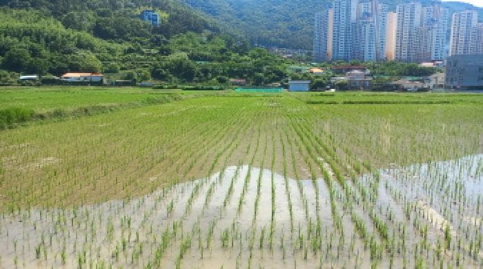 2025타경21526 주거용 대표 사진