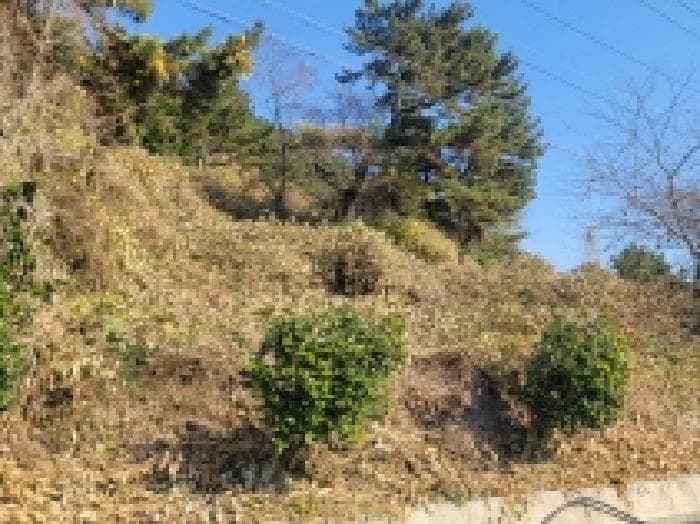 2025타경22182 사진