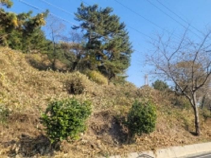 2025타경22182 사진
