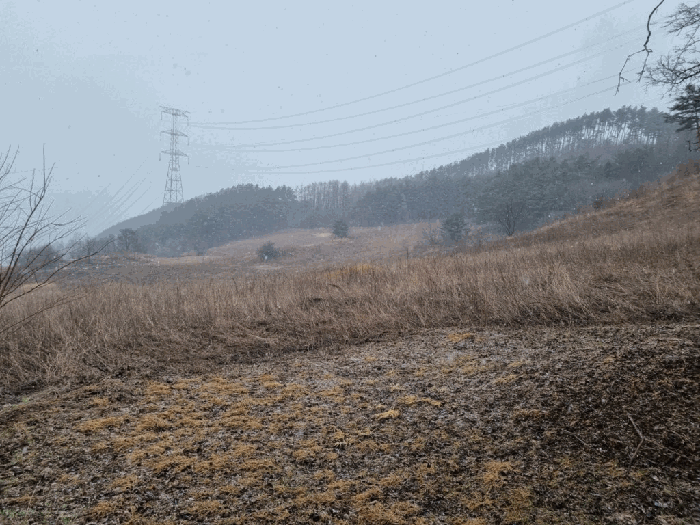 2025타경30296 사진