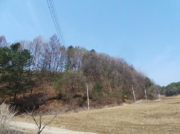 2025타경30393 부동산임의경매 대표 사진