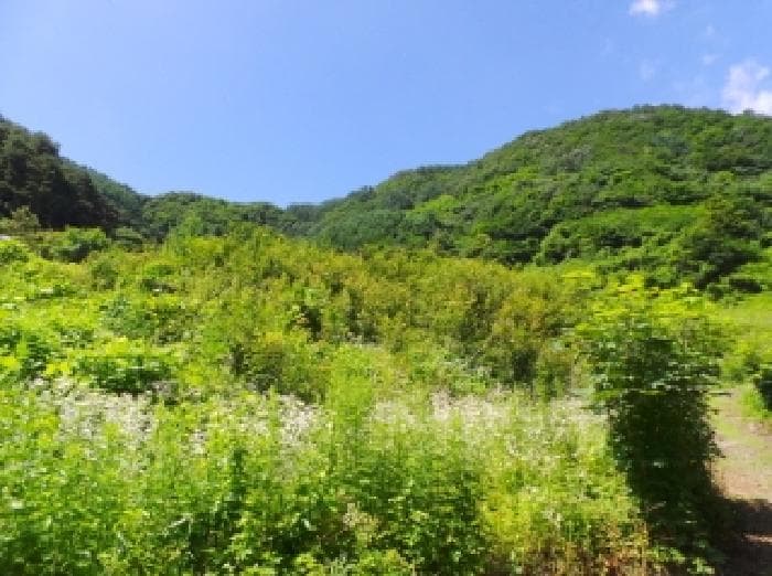 2025타경30495 부동산강제경매 대표 사진