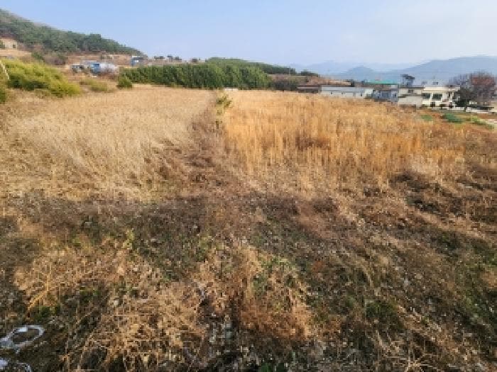 2025타경30501 사진