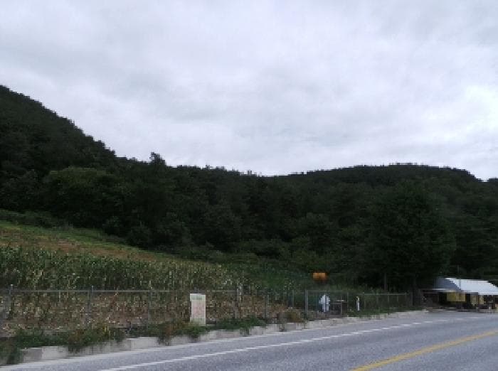 2025타경30524 사진