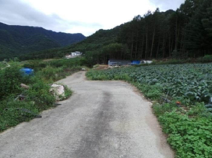 2025타경30570 사진