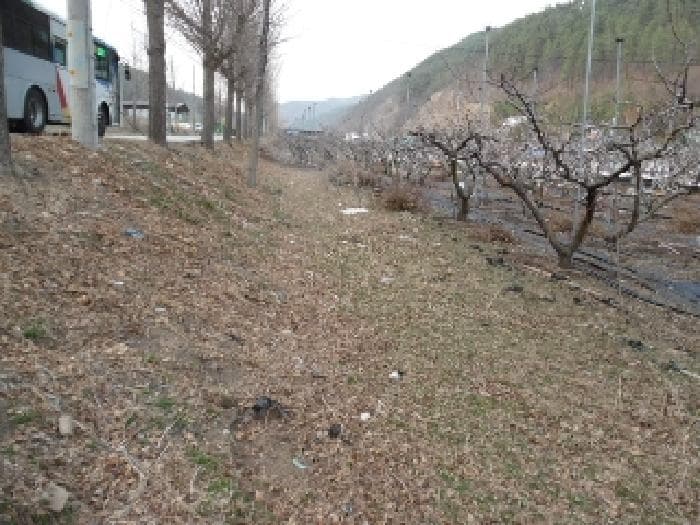 2025타경31049 사진