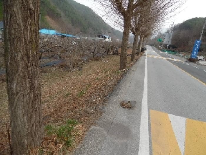 2025타경31049 사진
