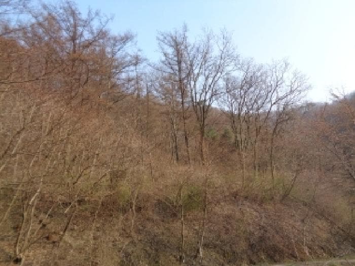 2025타경31053 부동산강제경매 대표 사진