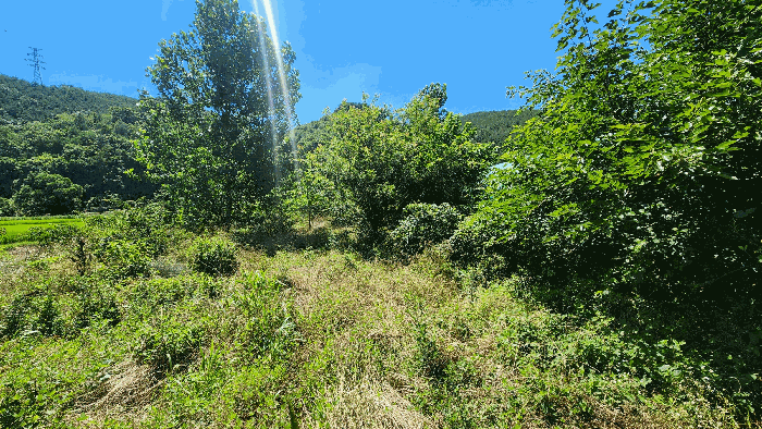 2025타경31061 부동산강제경매 대표 사진