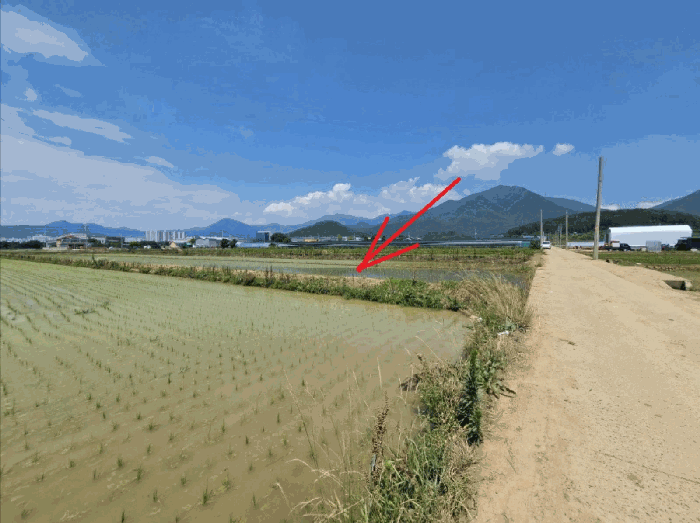 2025타경31397 공유물분할을위한경매 대표 사진