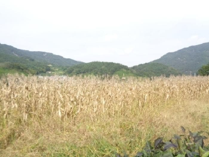 2025타경31714 사진