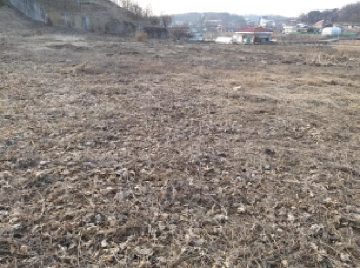 2025타경41331 부동산임의경매 대표 사진
