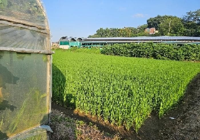 2025타경42224 부동산임의경매 대표 사진