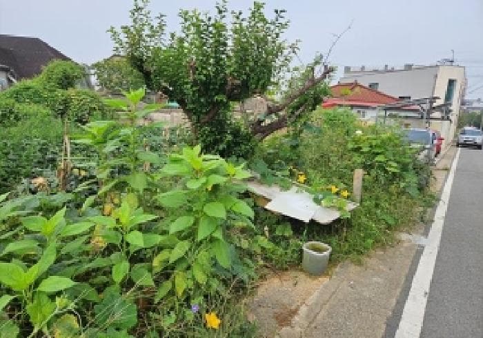 2025타경42659 사진