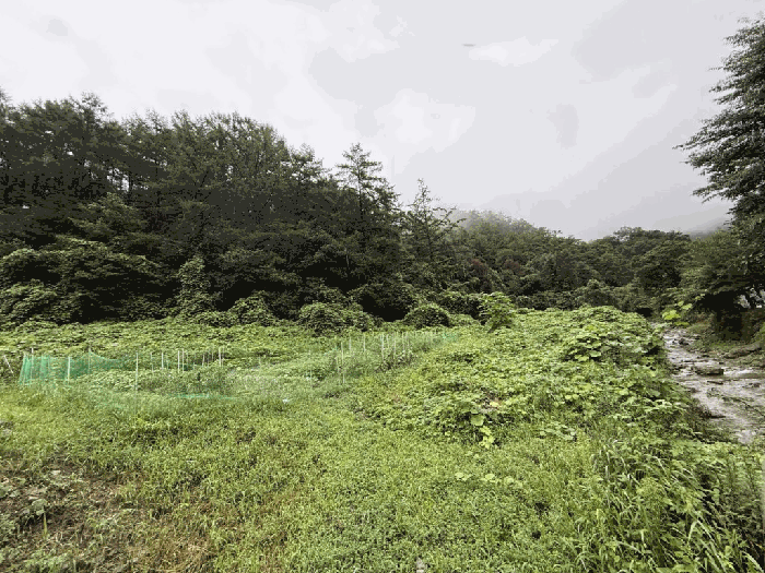 2025타경50824 부동산임의경매 대표 사진