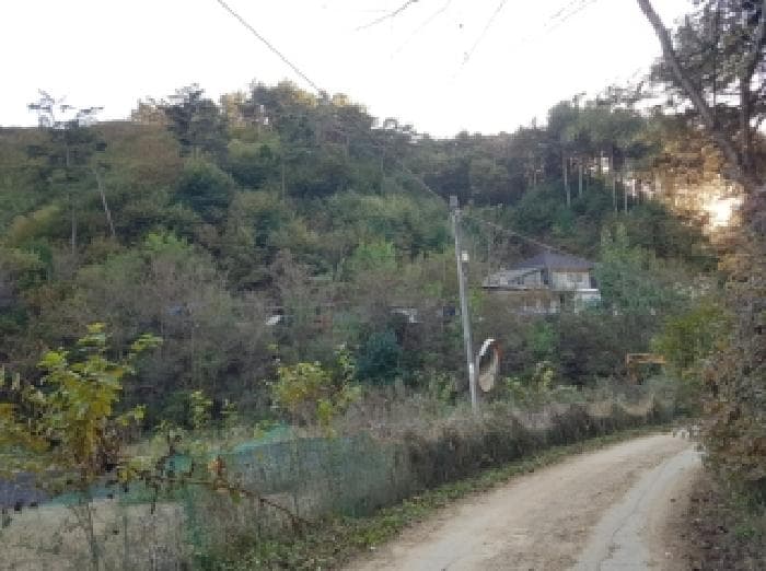 2025타경50874 부동산임의경매 대표 사진