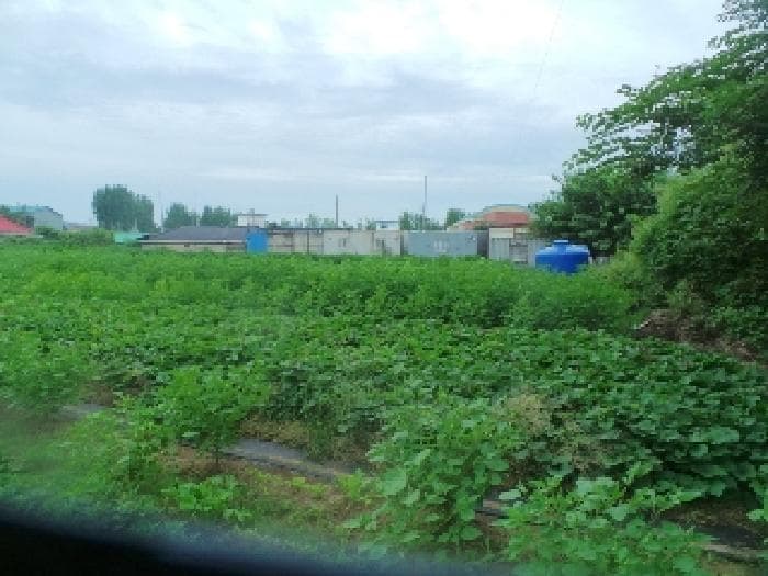 2025타경50894 부동산강제경매 대표 사진