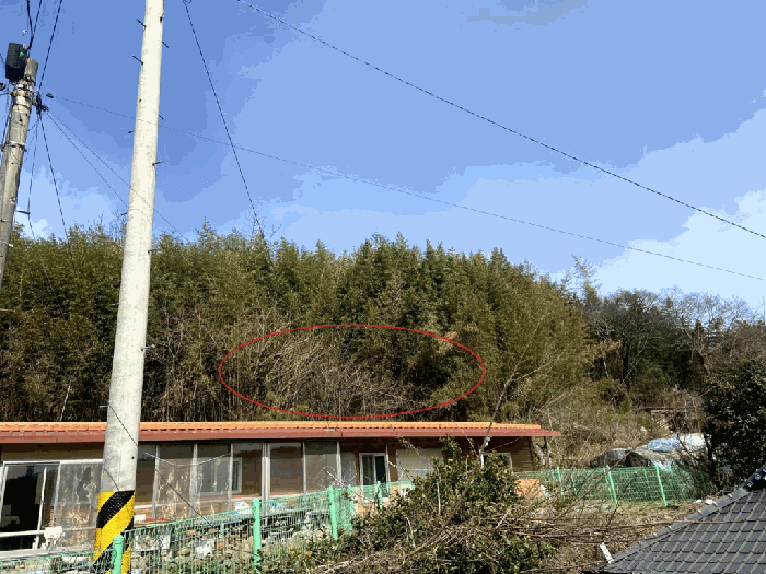 2025타경50933 사진