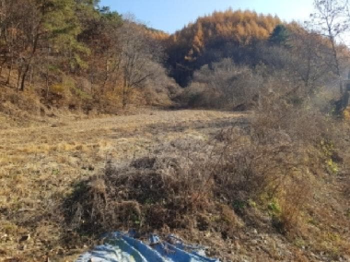 2025타경50954 부동산임의경매 대표 사진