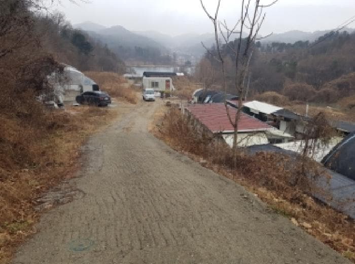 2025타경51014 사진
