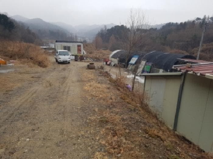 2025타경51014 사진