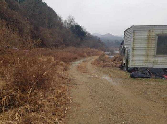 2025타경51014 사진